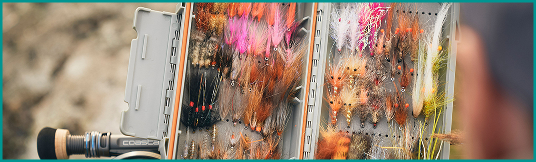 Fly Boxes & Accessories