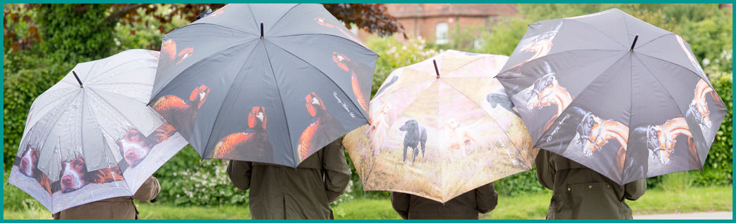 Umbrellas & Stands