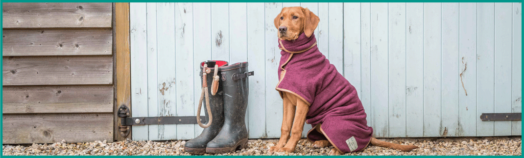 Coats & Jumpers