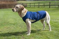 Pet Cooling Coat