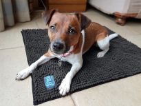 Microfibre Noodle Pet Mat