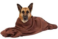 Microfibre Doggie Bag