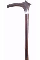 Staghorn Crown Hiking Staff