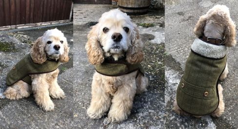 County Tweed Sherpa Dog Coat