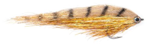 Sunny Day Predator Pike Fly