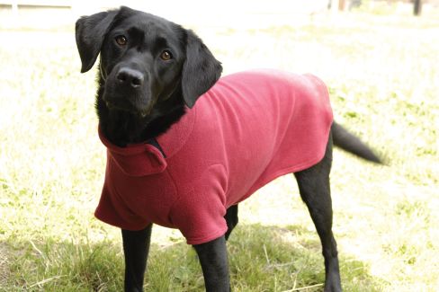Water Repellent Dog Jumper - Red
