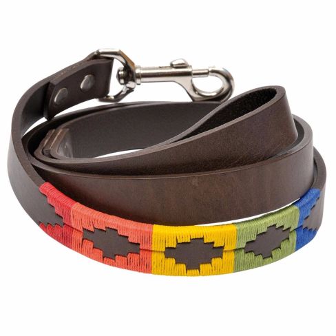 Argentine Leather Dog Lead Rainbow