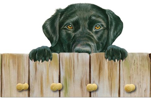 Peeping Lab Key Holder