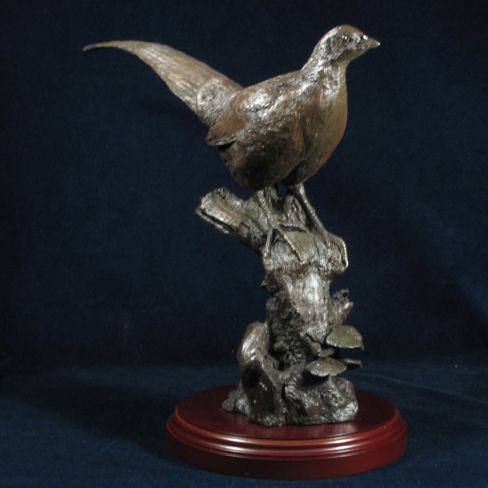 Bronzed Hen Pheasant - Bronzed