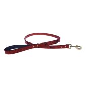 Terrier Design Lead Red