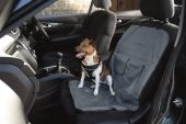 Single Car Seat Cover