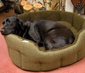 Country Tweed Round Dog Bed - Green