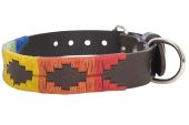 Argentine Leather Dog Collar Rainbow
