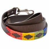 Argentine Leather Dog Lead Rainbow