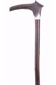 Staghorn Crown Hiking Staff