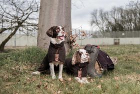 Country Collection Dog Drying Coat - Chocolate