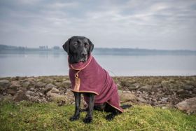 Country Collection Dog Drying Coat - Burgundy