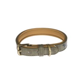 Fab Lab Design Dog Collar Green